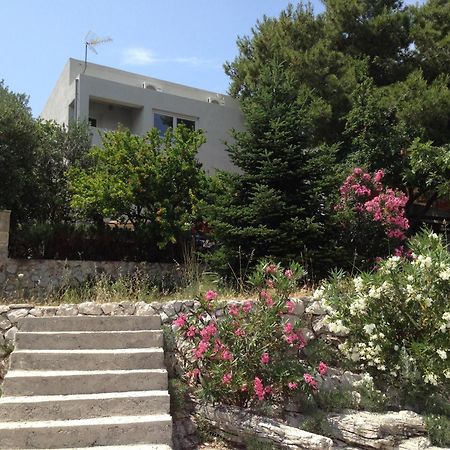 Apartments Petrovic Primošten المظهر الخارجي الصورة